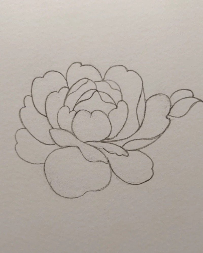 How to draw a hibiscus flower step by step easy 5