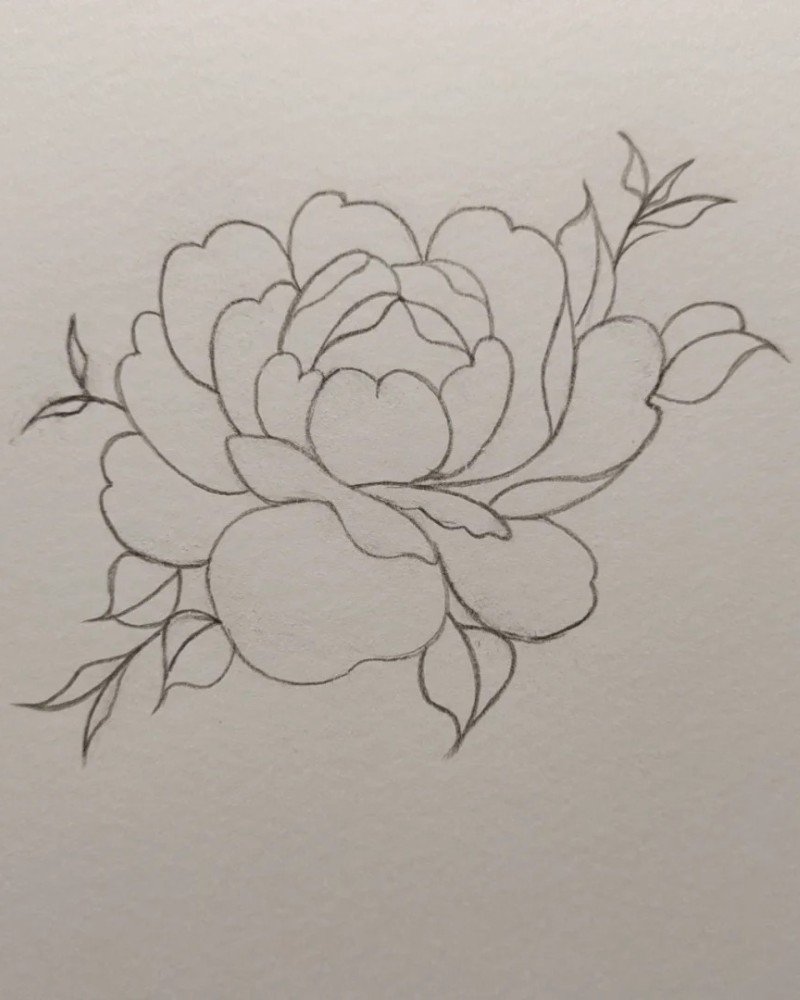How to draw a hibiscus flower step by step easy 6