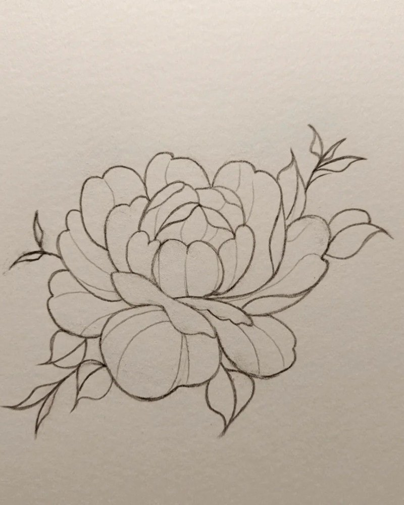 How to draw a hibiscus flower step by step easy