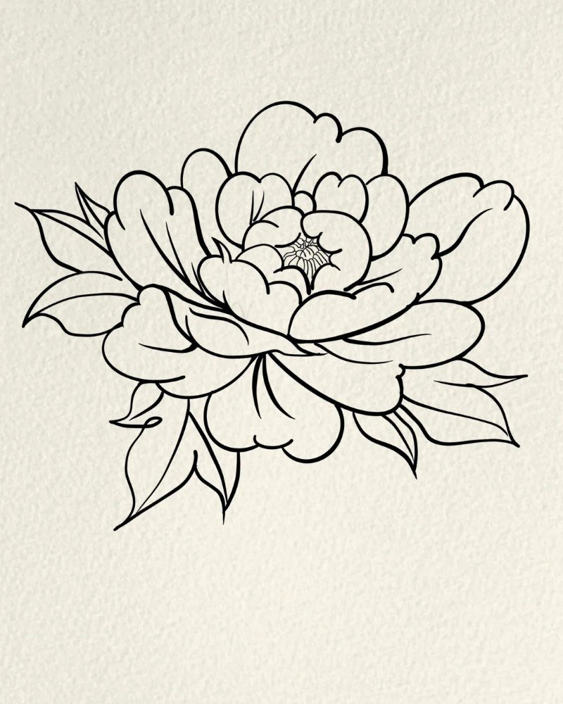 How to draw a hibiscus flower 