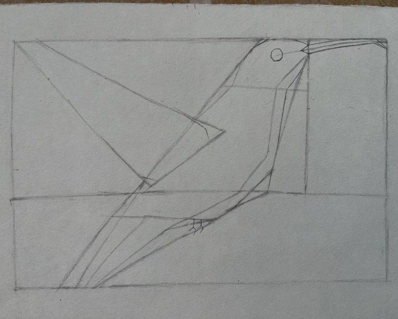 How to draw a hummingbird easy step by step 1