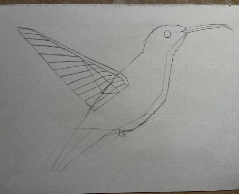 How to draw a hummingbird easy step by step 3