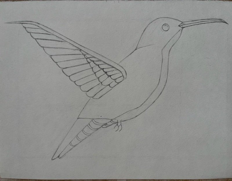 How to draw a hummingbird easy step by stepHow to draw a hummingbird easy step by step 4