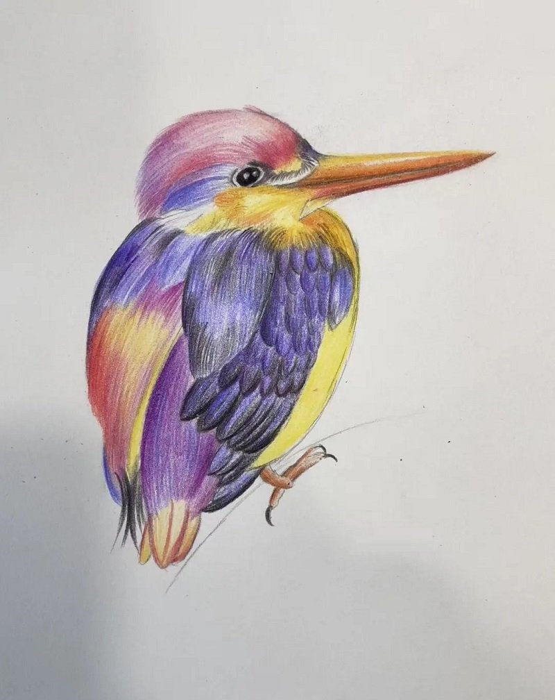 How to draw a hummingbird easy
