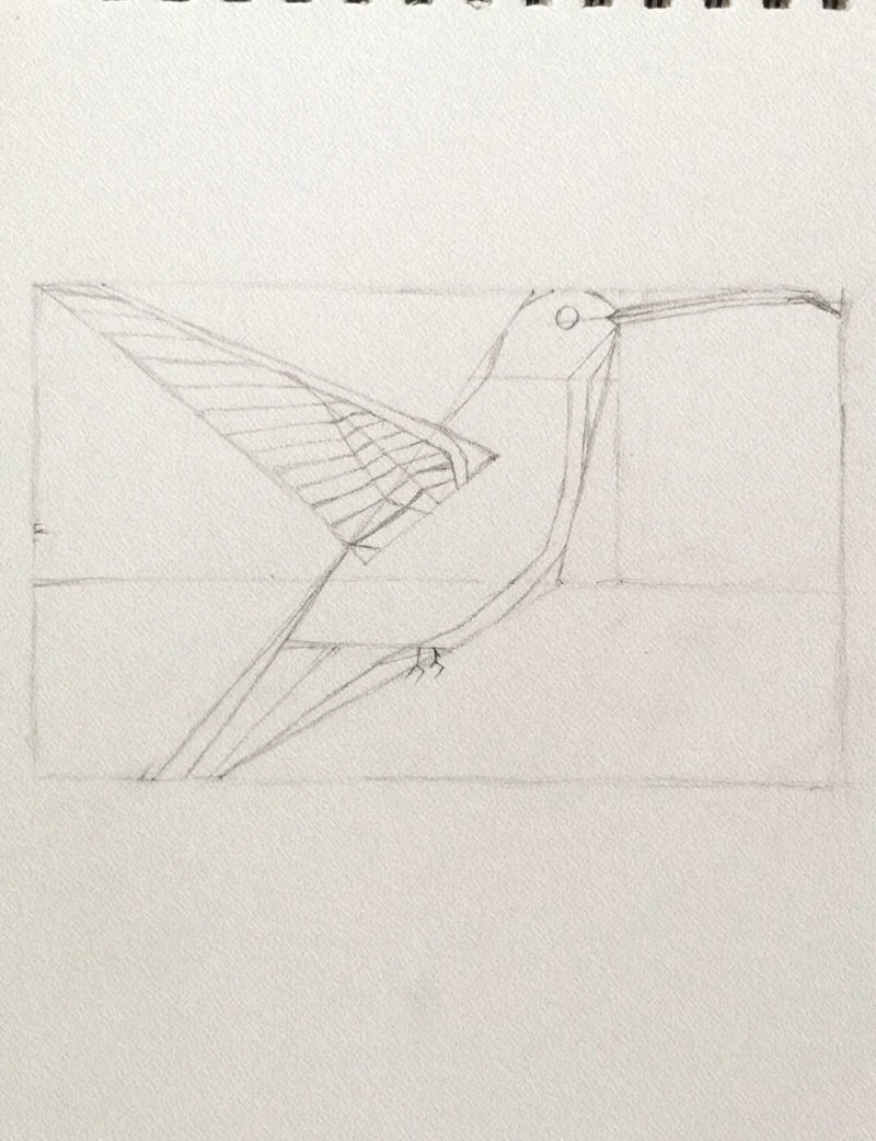 How to draw a hummingbird step by step easy 1