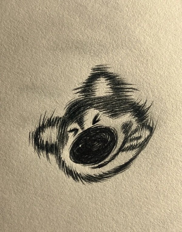 How to draw a husky  3