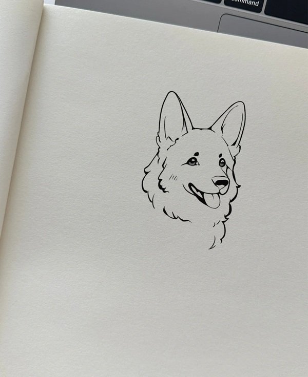 How to draw a husky dog beautiful 3