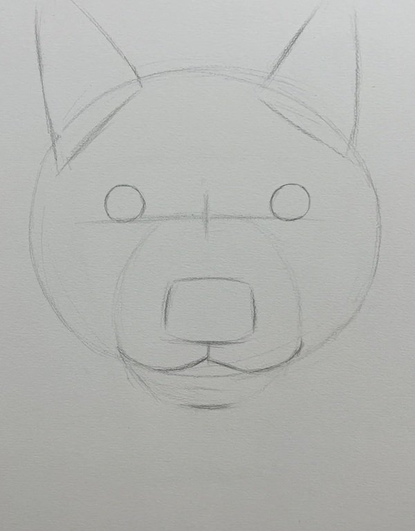 How to draw a husky dog easy 2