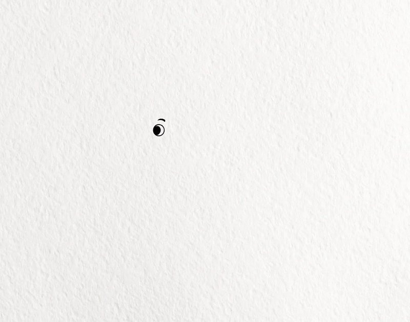 How to draw a kangaroo for kids 1