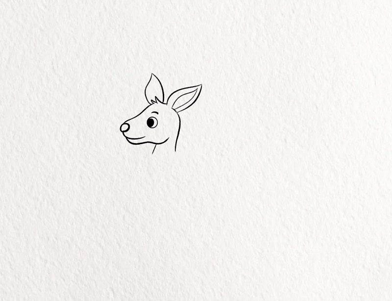 How to draw a kangaroo for kids 2
