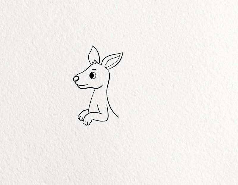 How to draw a kangaroo for kids 3