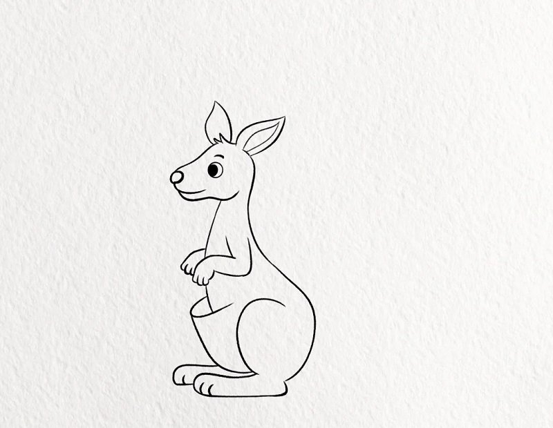How to draw a kangaroo for kids 4
