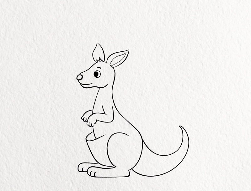 How to draw a kangaroo for kids 5
