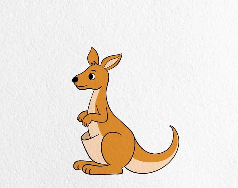 How to draw a kangaroo for kids