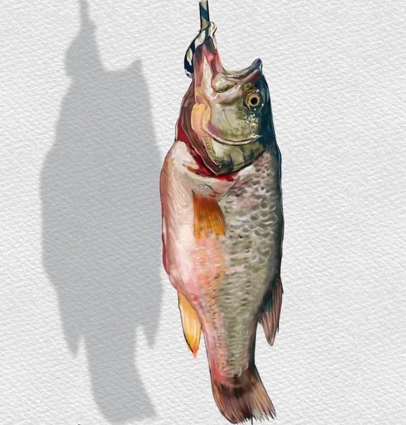 How to draw a largemouth bass 3