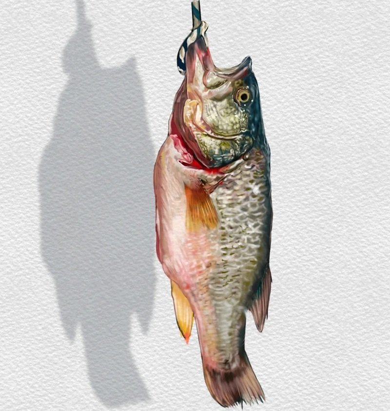 How to draw a largemouth bass 4