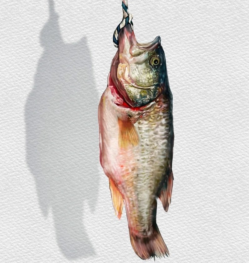 How to draw a largemouth bass 5