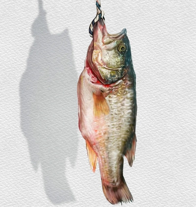 How to draw a largemouth bass