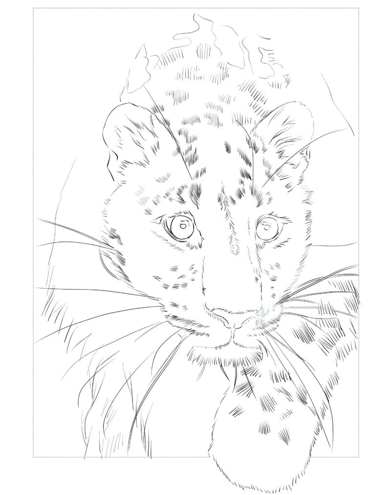 How to draw a leopard easy 1