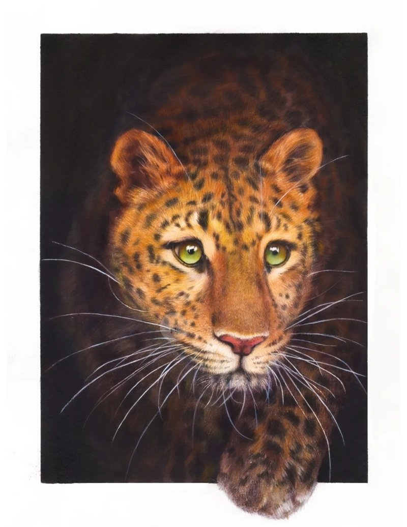 How to draw a leopard easy