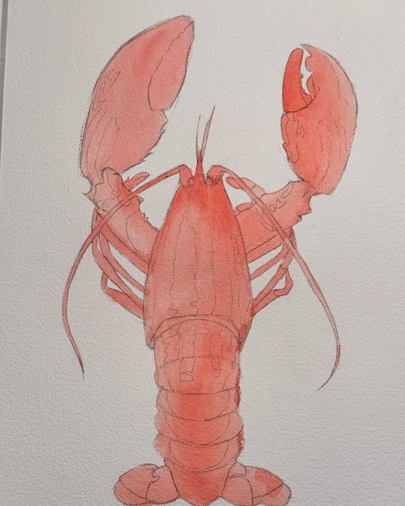 How to draw a lobster 2