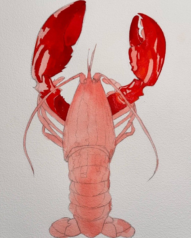 How to draw a lobster 3