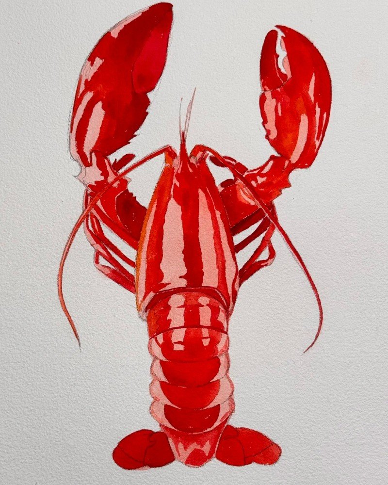 How to draw a lobster 4