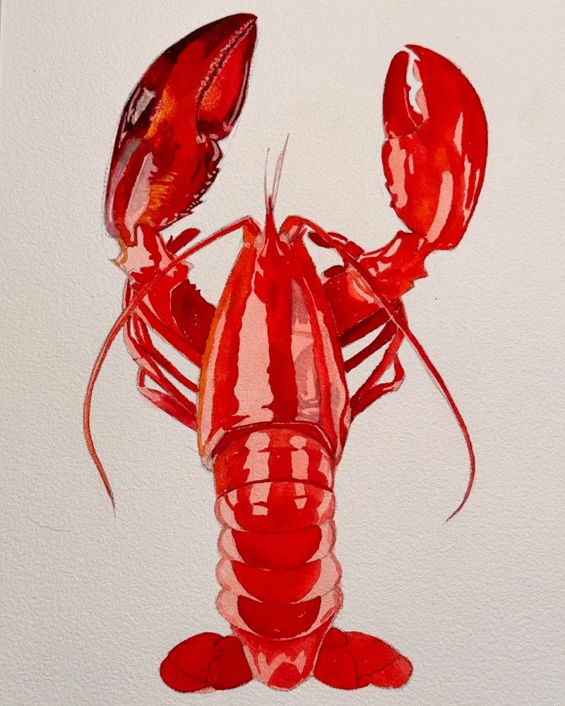 How to draw a lobster 5