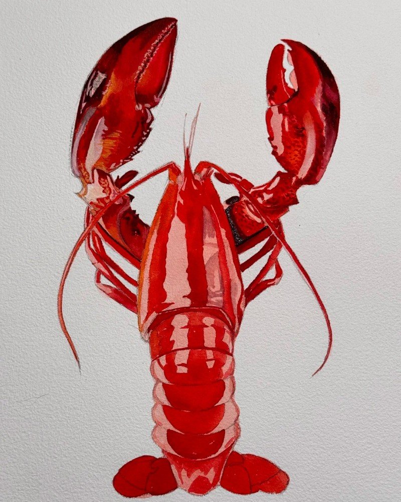 How to draw a lobster 6