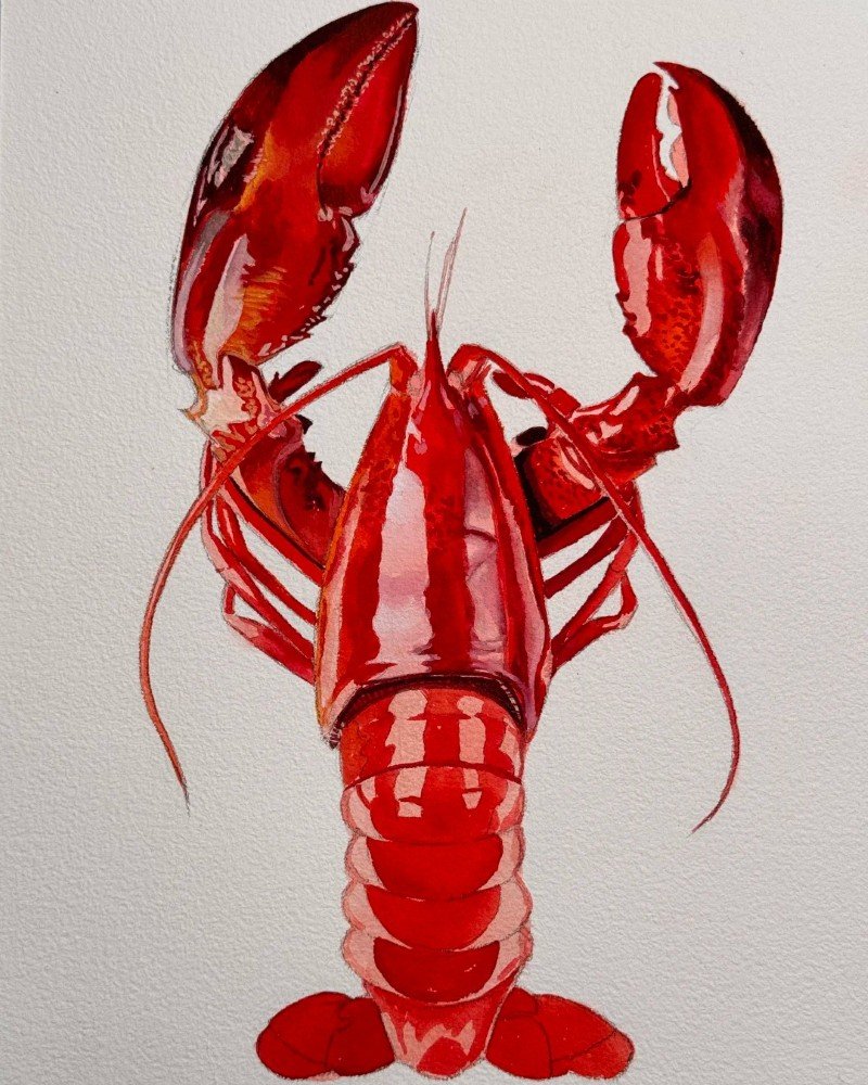 How to draw a lobster 7