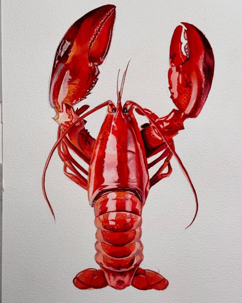How to draw a lobster