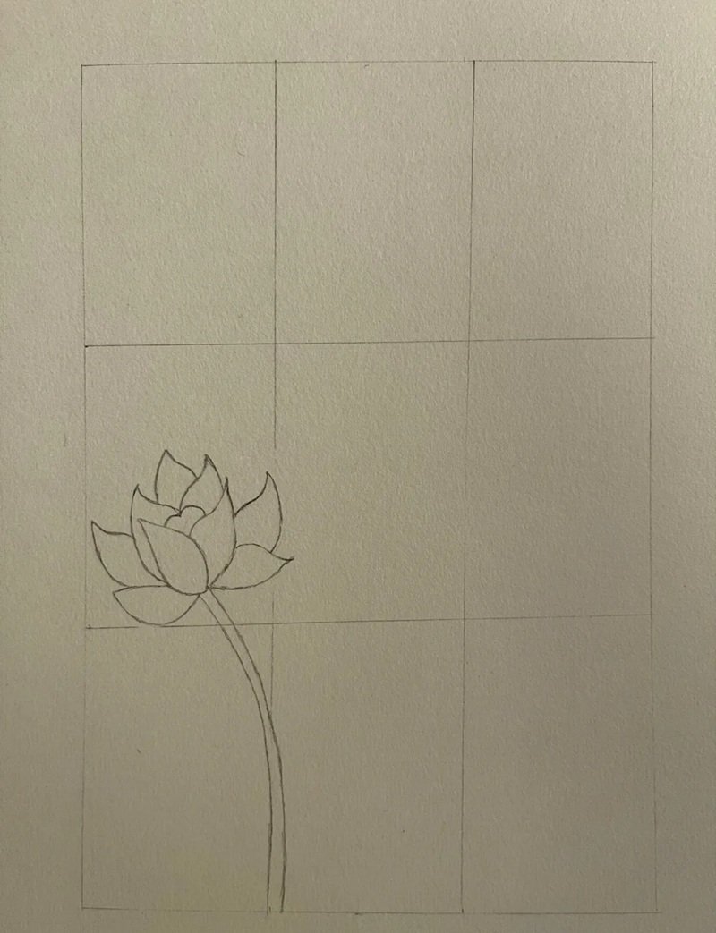 How to draw a lotus flower 2