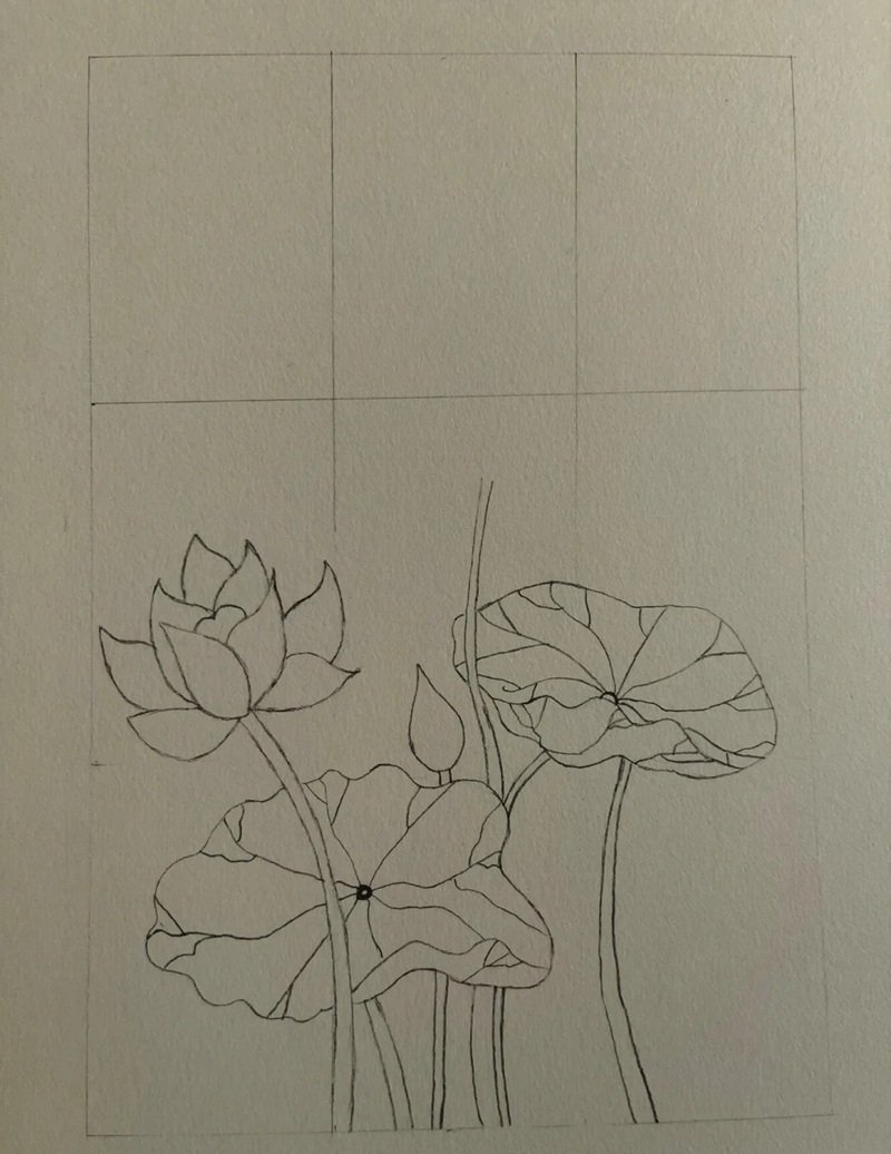 How to draw a lotus flower 4