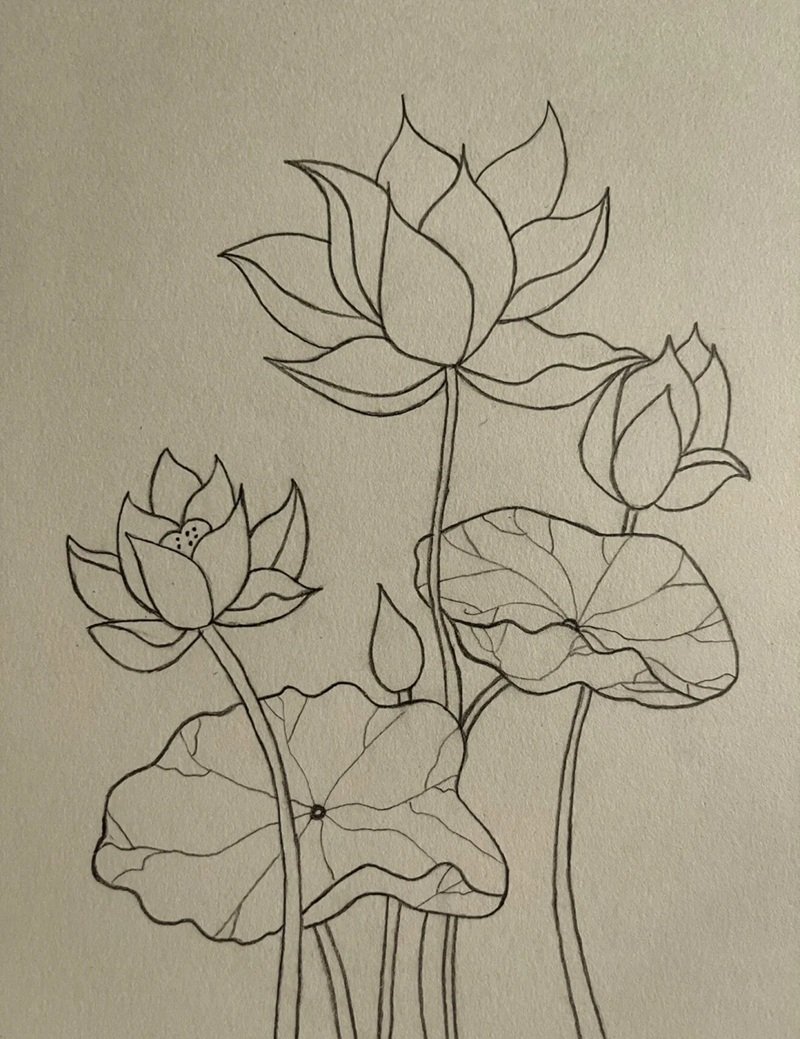 How to draw a lotus flower 6