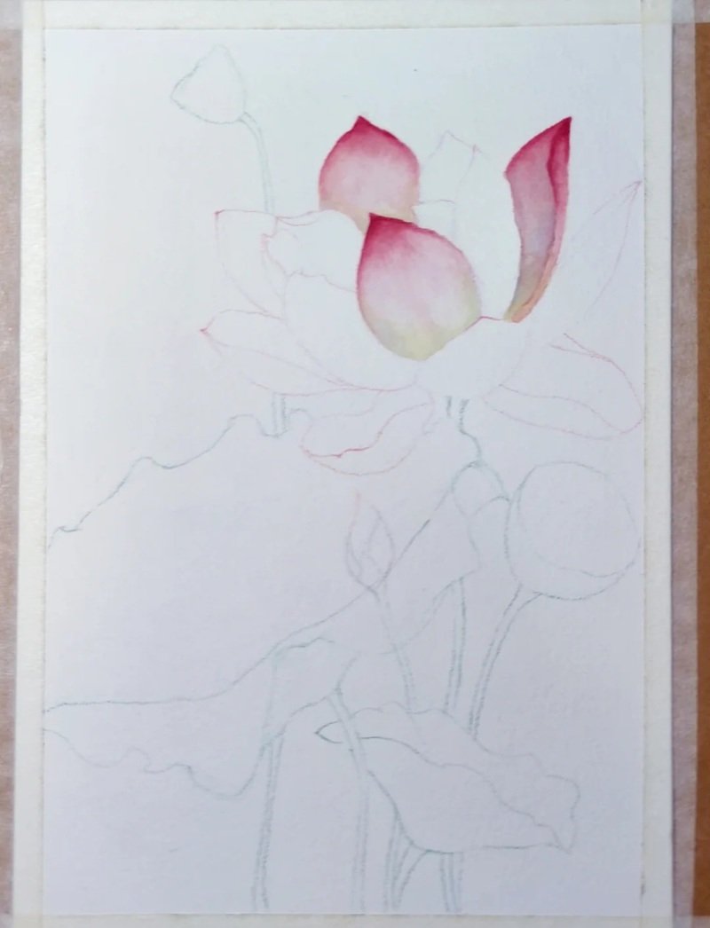 How to draw a lotus flower easy 3