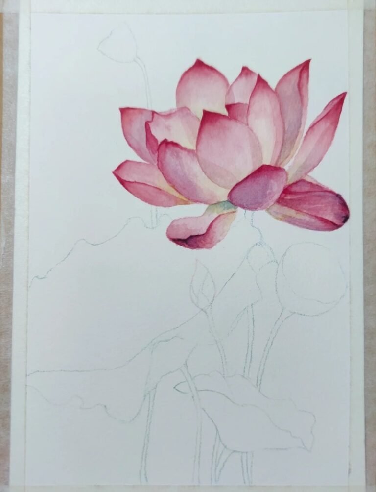 5+ easy steps on how to draw a lotus flower for beginners