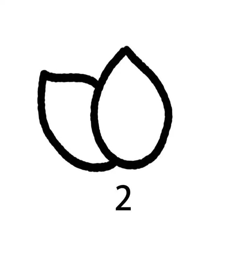 How to draw a lotus flower easy step by step 2