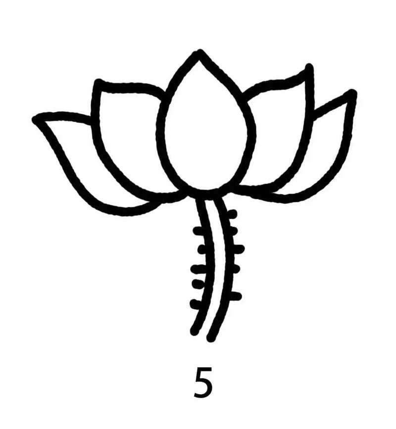 How to draw a lotus flower easy step by step 5