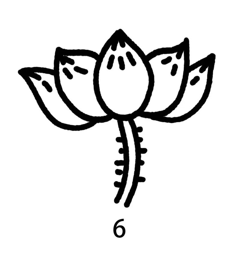 How to draw a lotus flower easy step by step 6