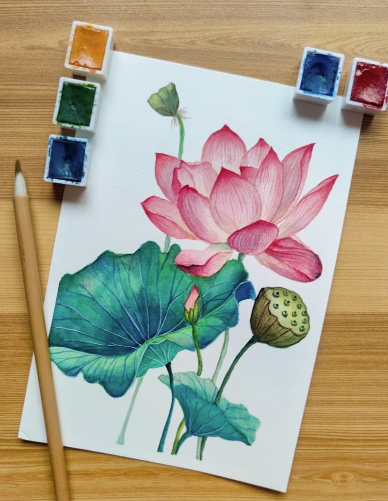 How to draw a lotus flower easy 