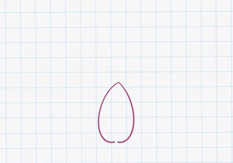 How to draw a lotus flower step by step 1