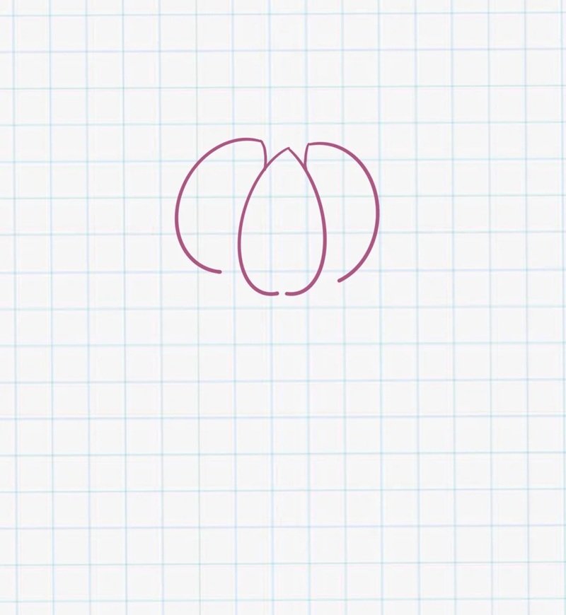 How to draw a lotus flower step by step 2