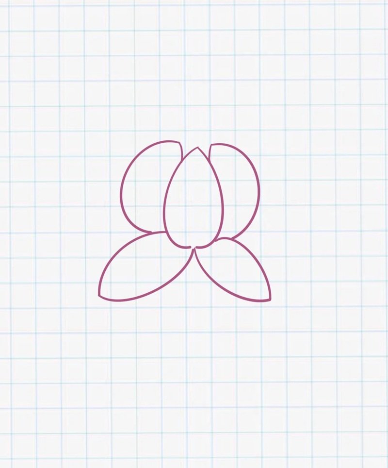 How to draw a lotus flower step by step 3