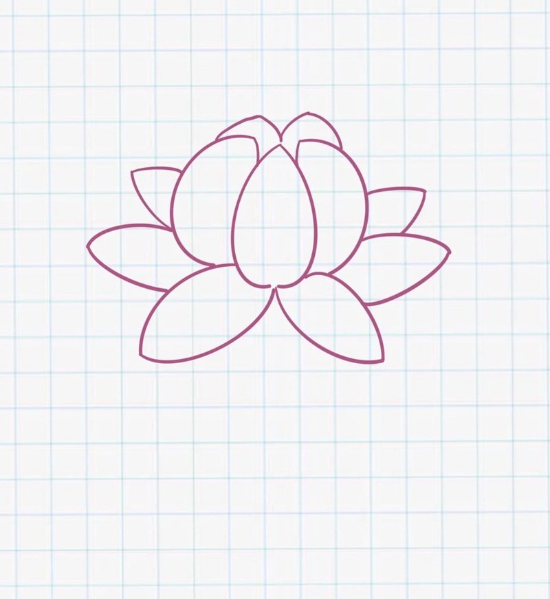 How to draw a lotus flower step by step 5
