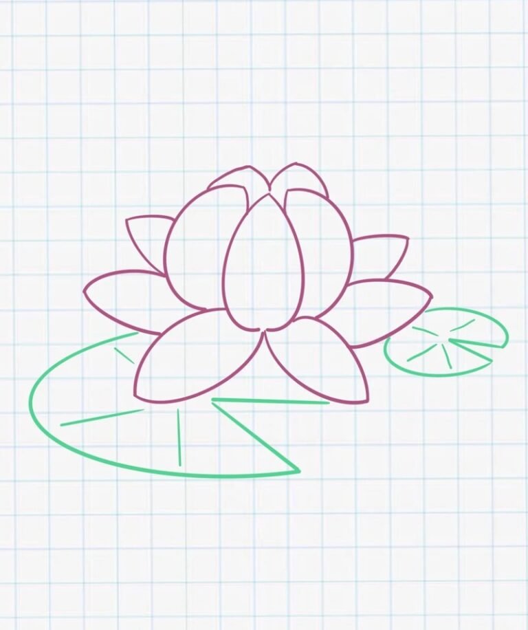 5+ easy steps on how to draw a lotus flower for beginners
