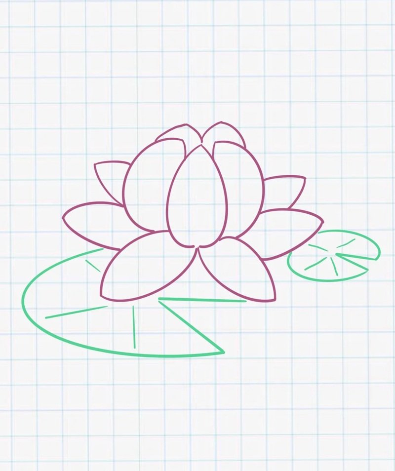 How to draw a lotus flower step by step 6