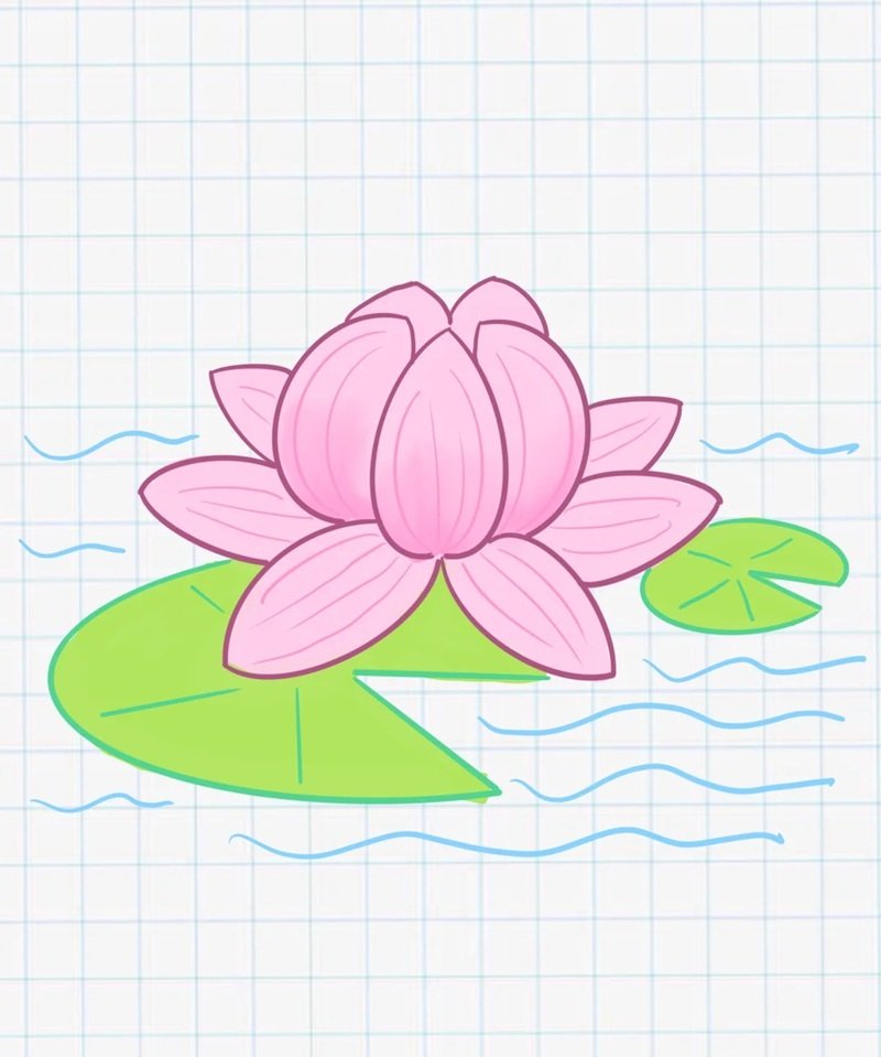 How to draw a lotus flower step by step