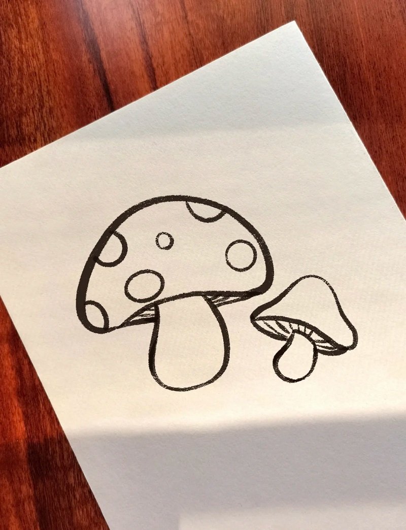 How to draw a mushroom step by step​ 5