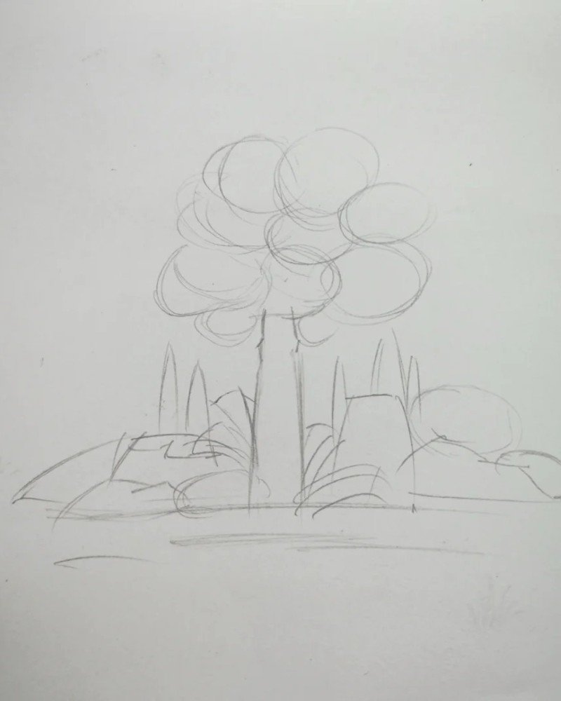 How to draw a palm tree 1