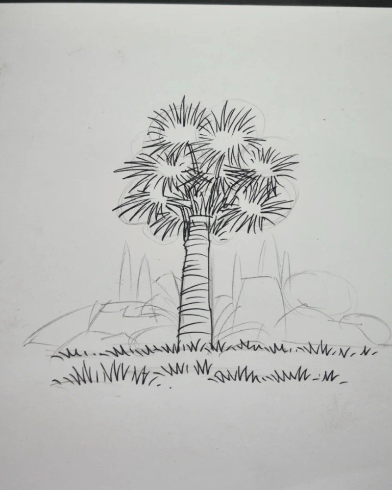 How to draw a palm tree 2